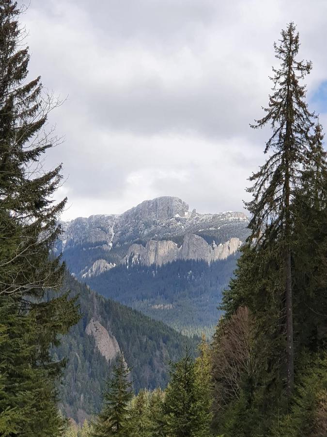Appartement Center Piatra Neamţ